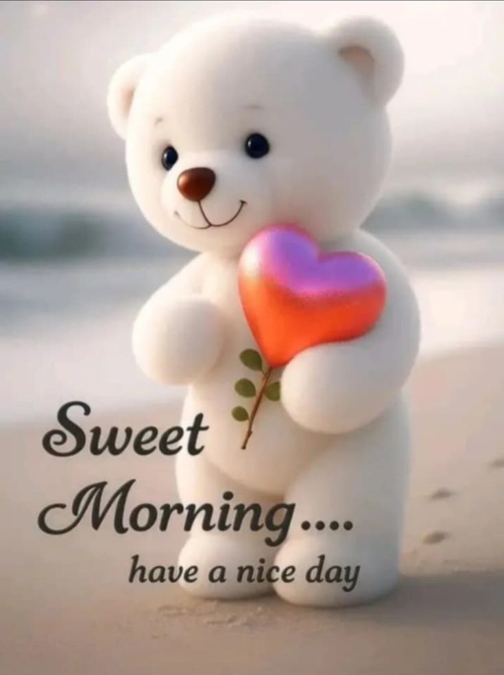 This may contain a white teddy bear holding a heart on the beach with words sweet morning have a nice day