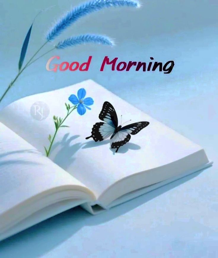 This may contain an open book sitting on top of a table next to a blue flower and butterfly